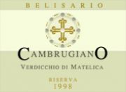 Verdicchio di Matelica DOC - Cambrugiano